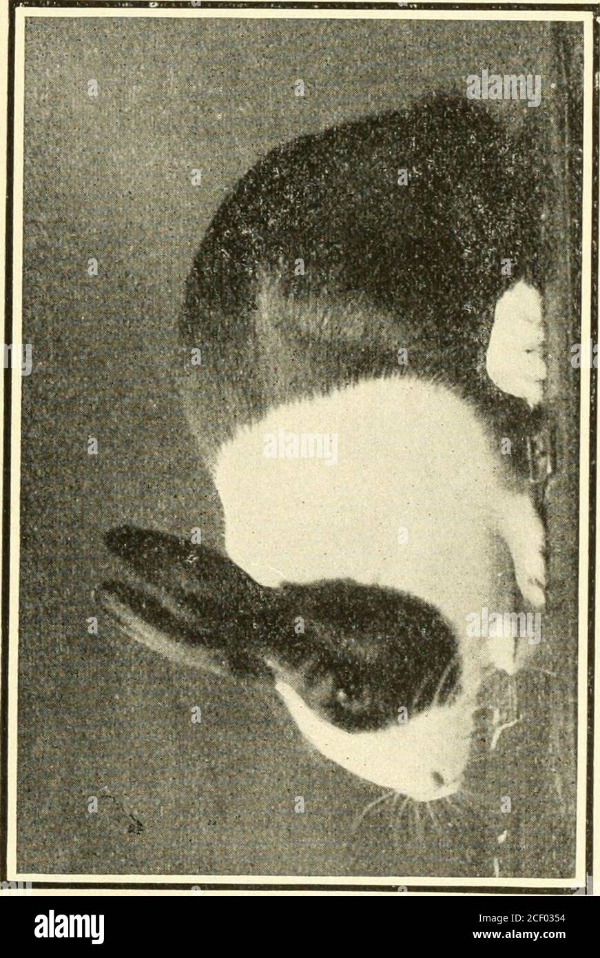 Perfect markings hi-res stock photography and images - Alamy