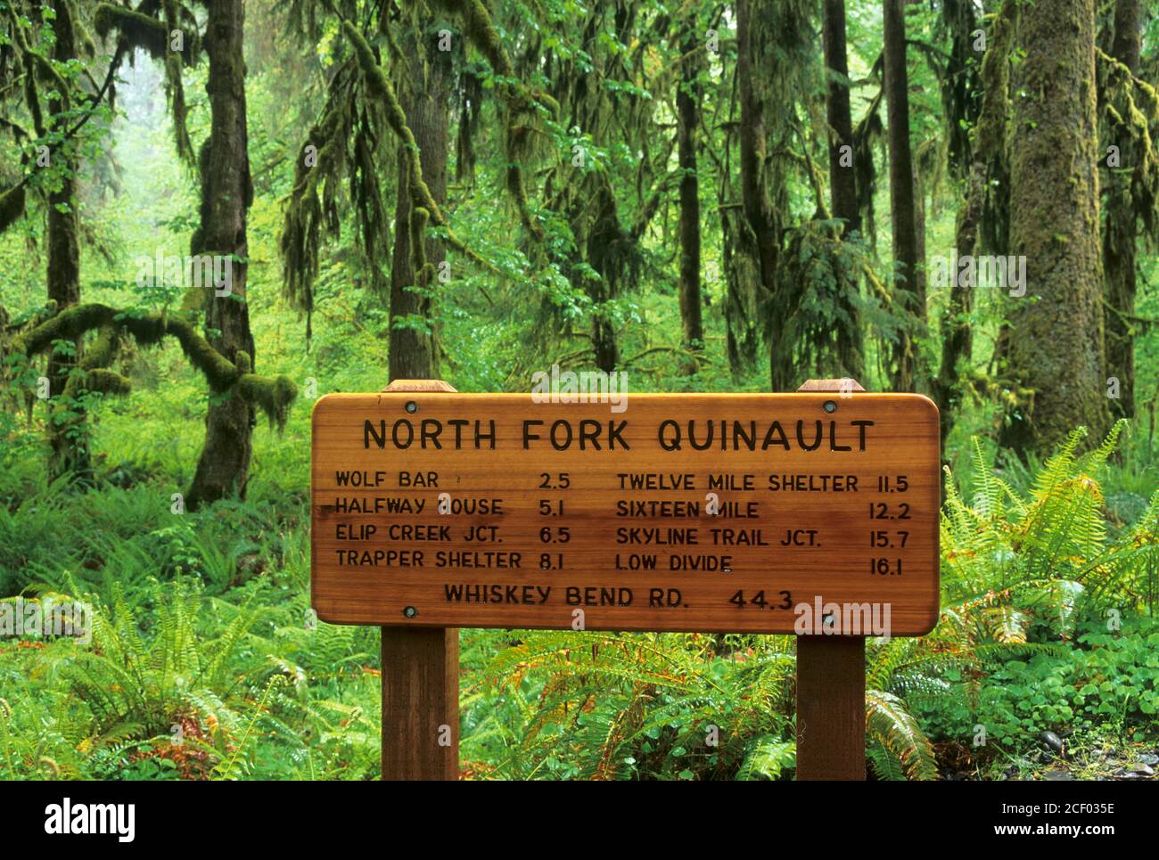 North Fork Quinault River trailhead, Olympic National Park, Washington