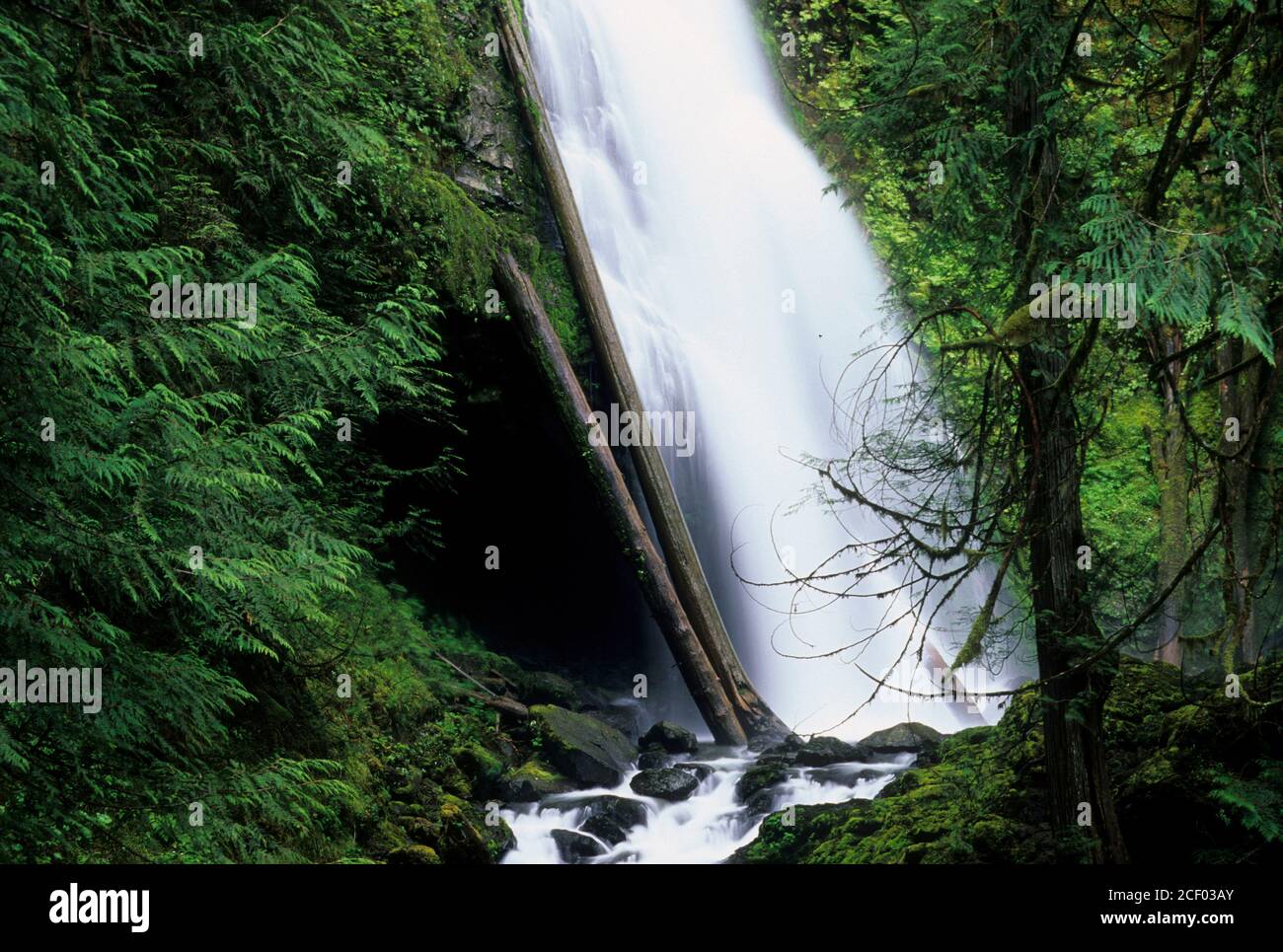 Murhut Falls, Olympic National Forest, Washington Stock Photo Alamy