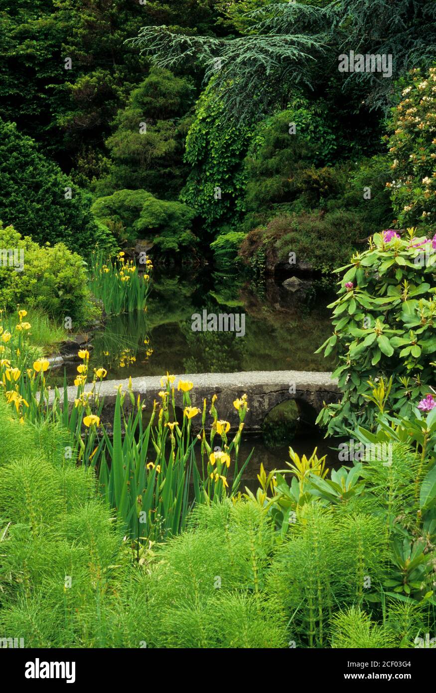 Japanese Garden, Kubota Garden, Seattle, Washington Stock Photo