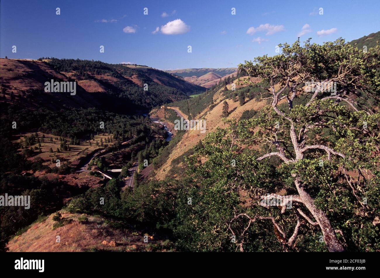 Klickitat River Canyon with oak, Klickitat Wild & Scenic River