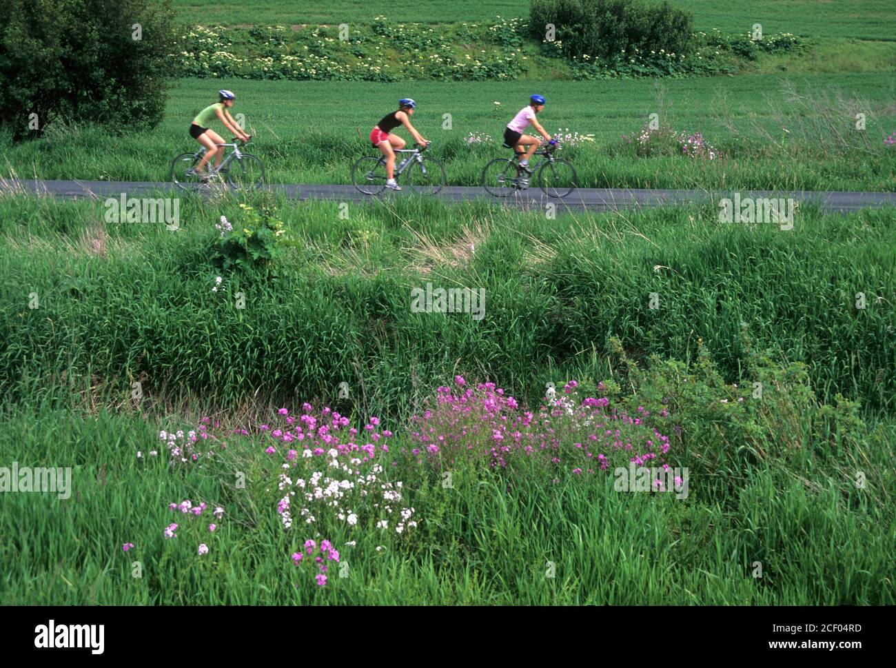 Chipman High Resolution Stock Photography and Images - Alamy