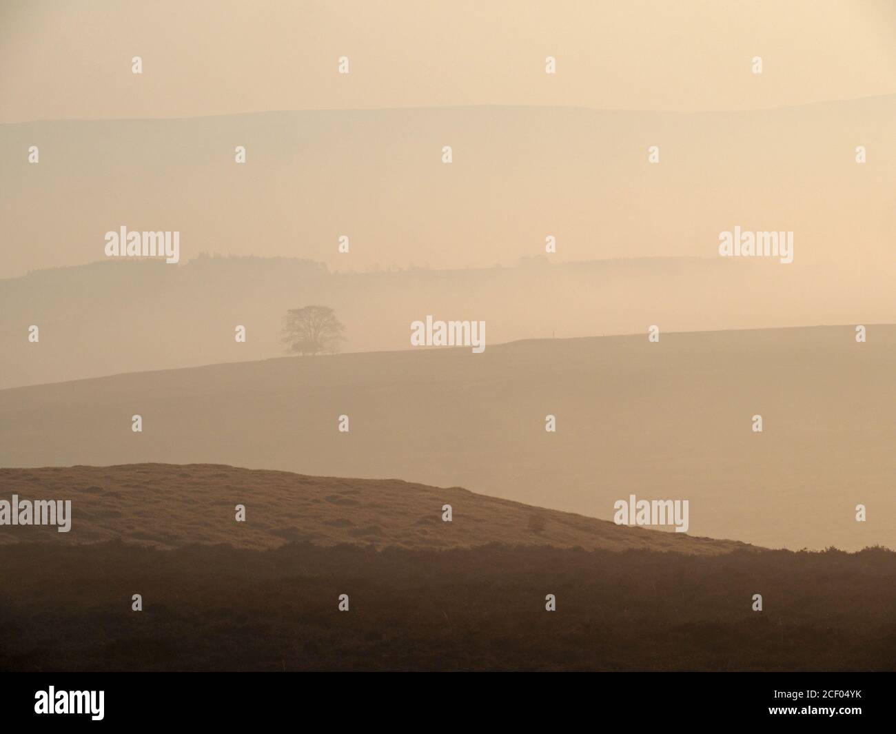 Cumbrian landscape with receding hills in misty dawn light punctuated by trees outlined in the hazy recession in the Eden Valley, England UK Stock Photo