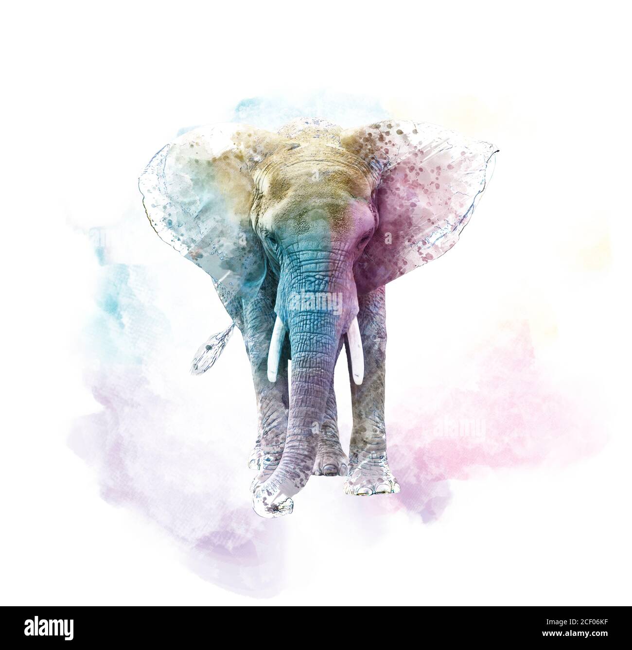 Colorful Watercolor Elephant print by Olga Telnova