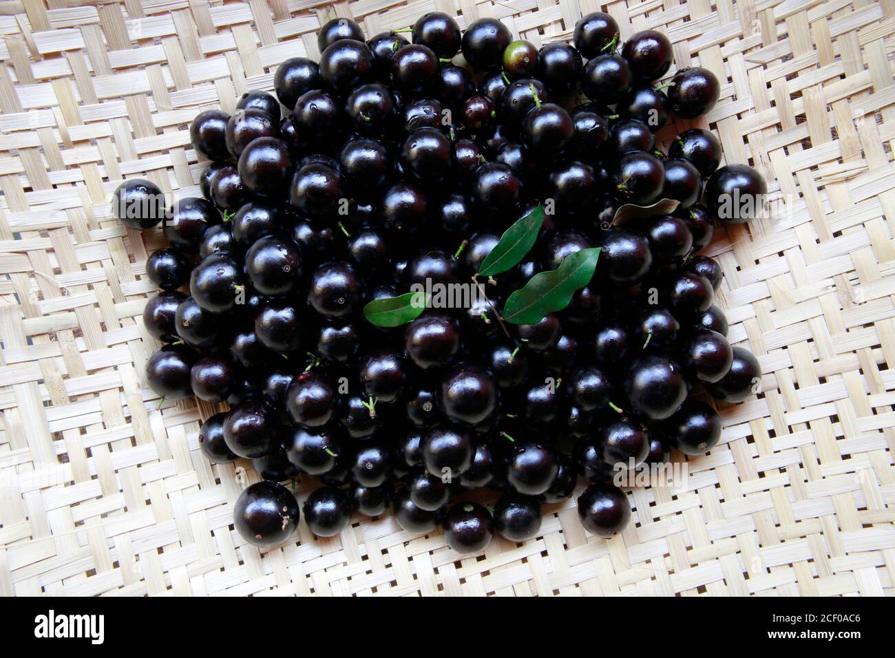 Fruit. Exotic. close up of pile of fresh jaboticaba, native Brazilian grape. Species Plinia cauliflora. Stock Photo