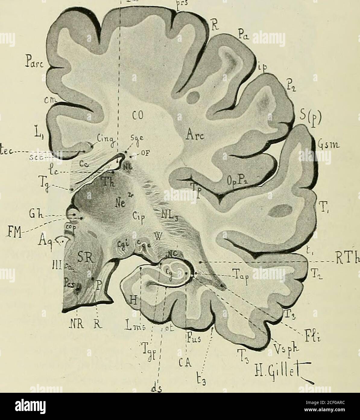 Temporales hi-res stock photography and images - Alamy