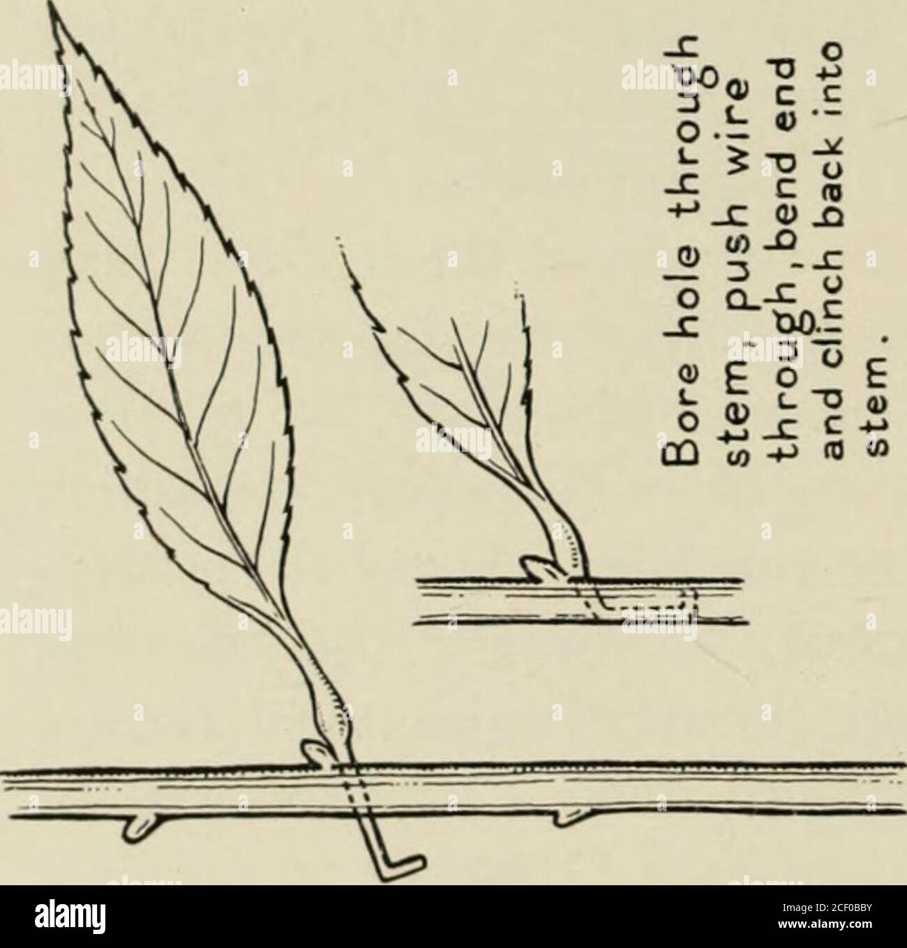 Guide Leaflet Xco O Pi 4 Lt Do W Co Co O O Co Qo W2 O Building The Museum Group 9 Back Of Tlie L Il And The Natural Warmth Of