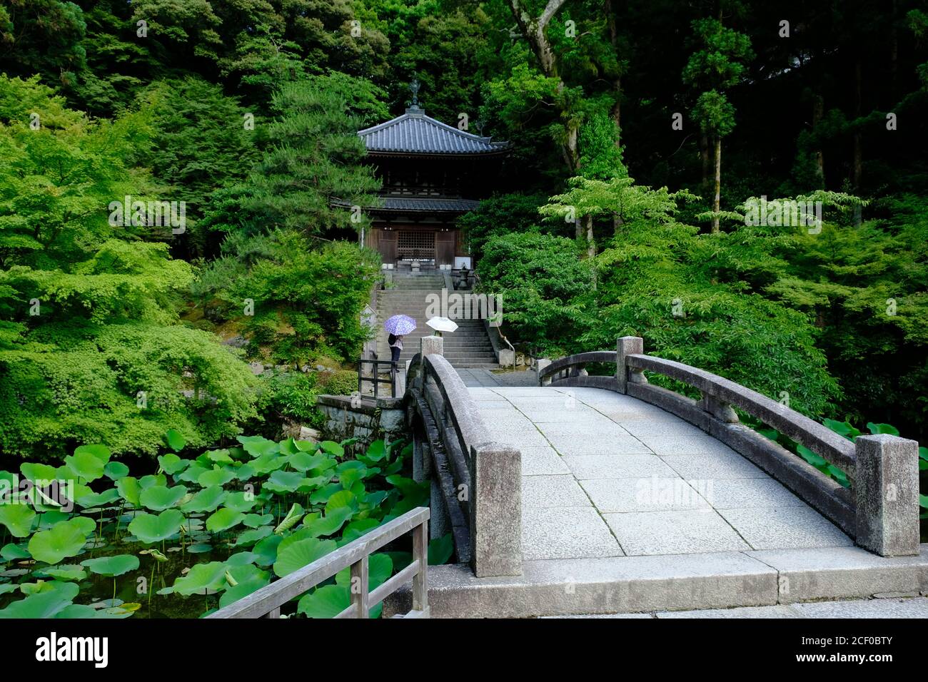 Kyoto Japan - Shoren-in Garden pond with water lilies Stock Photo