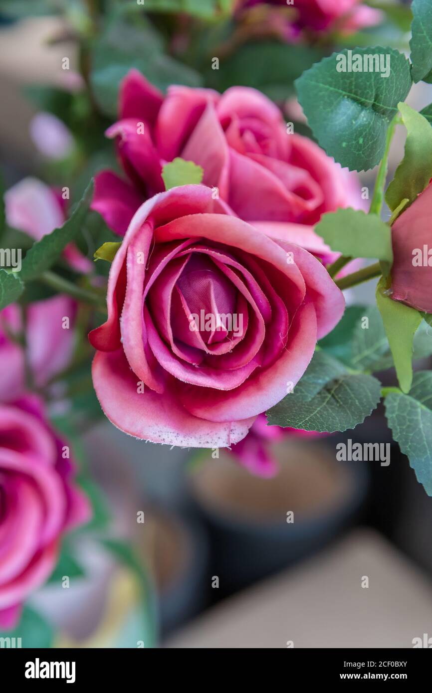 Handmade fake flowers for interior decoration Stock Photo Alamy