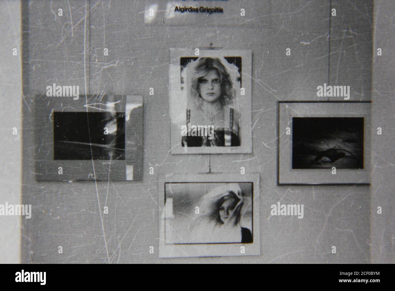 Fine 1970s vintage black and white photography of artwork hanging on a ...