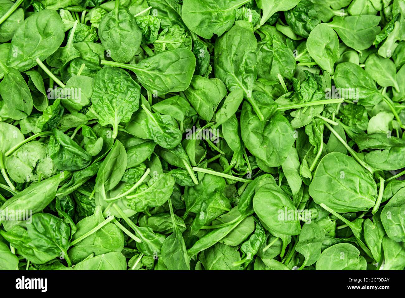 Spinach leaves background green texture Stock Photo Alamy