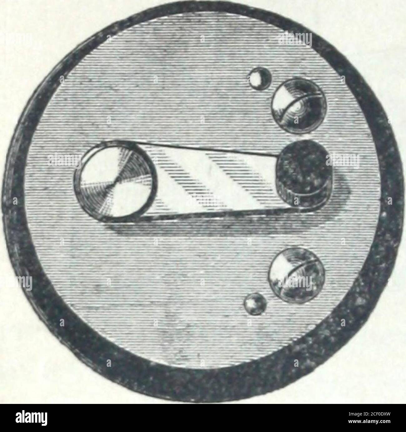 . Catalogue of O.D. Pierce & Co. manufacturers of and dealers in electrical supplies .... &lt; SI R 1 V Door Spring No. 2. Door Spring No. 1.Price $ 25 Price • • $ -0 34 O. D. PIERCE & CO., PHILADELPHIA, PA. BELL SWITCHES.. Switch No. 1, 1 Pt. No. 1 Switch Stock Photo