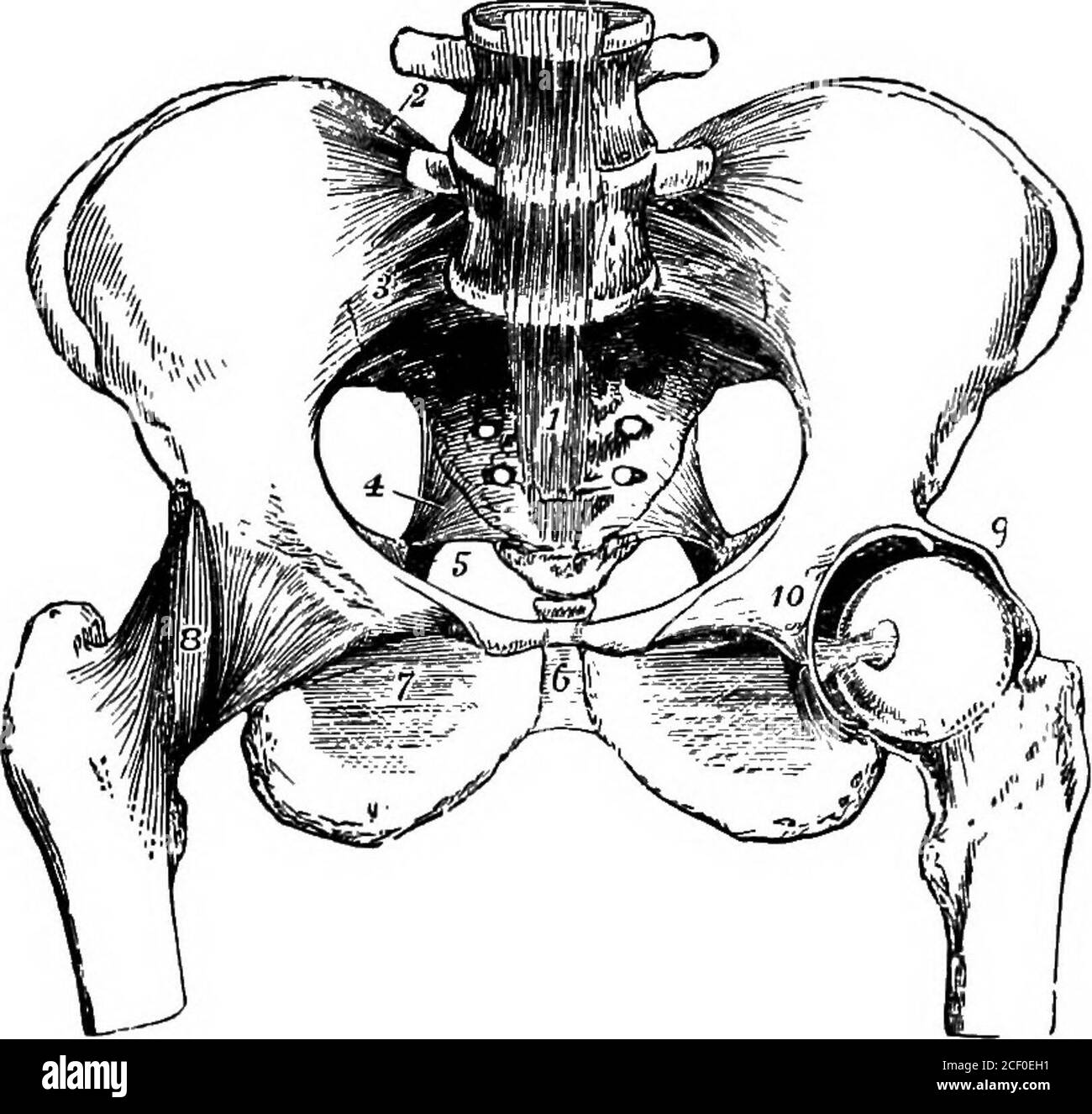 Gliding joint hires stock photography and images Alamy