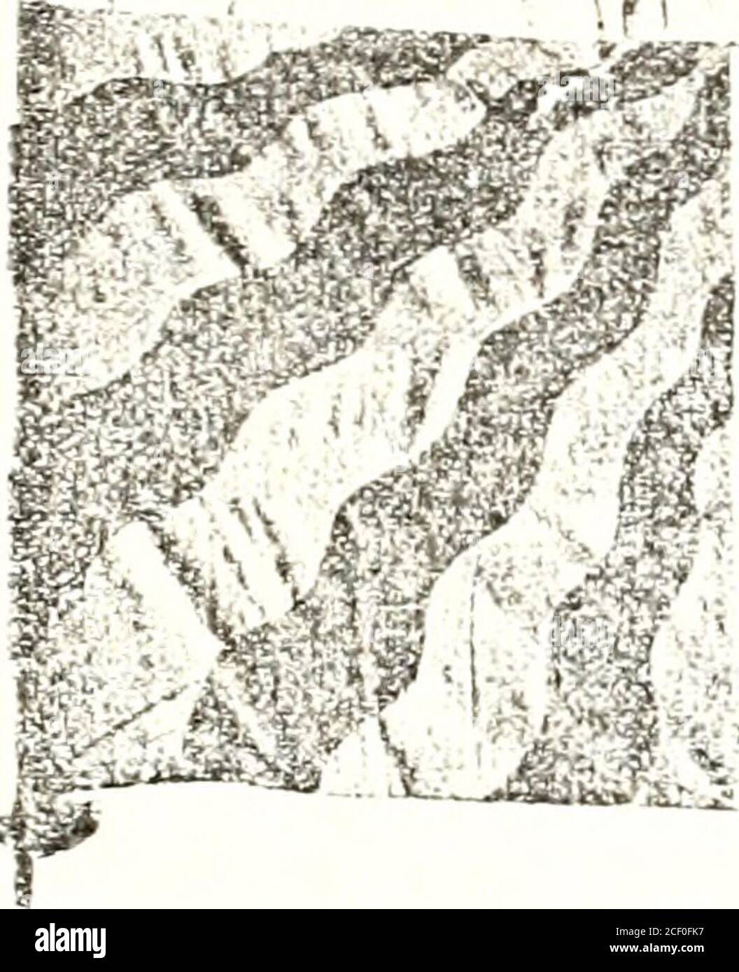 Iti V Hi Res Stock Photography And Images Page 6 Alamy