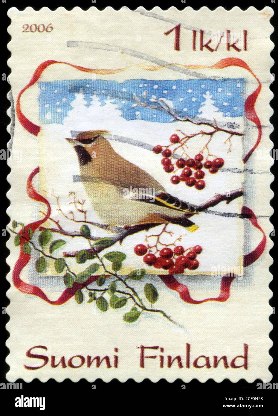 Bohemian Waxwing (Bombycilla garrulus)
