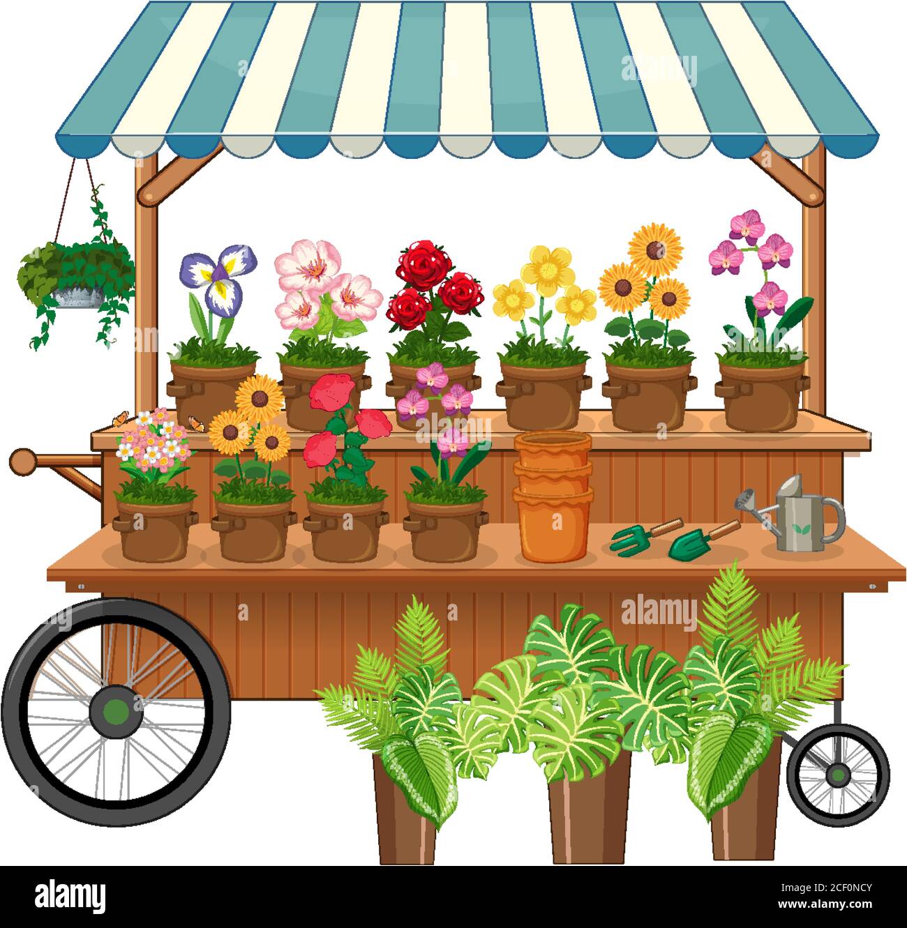 Isolated flower vendor cart illustration Stock Vector Image & Art Alamy