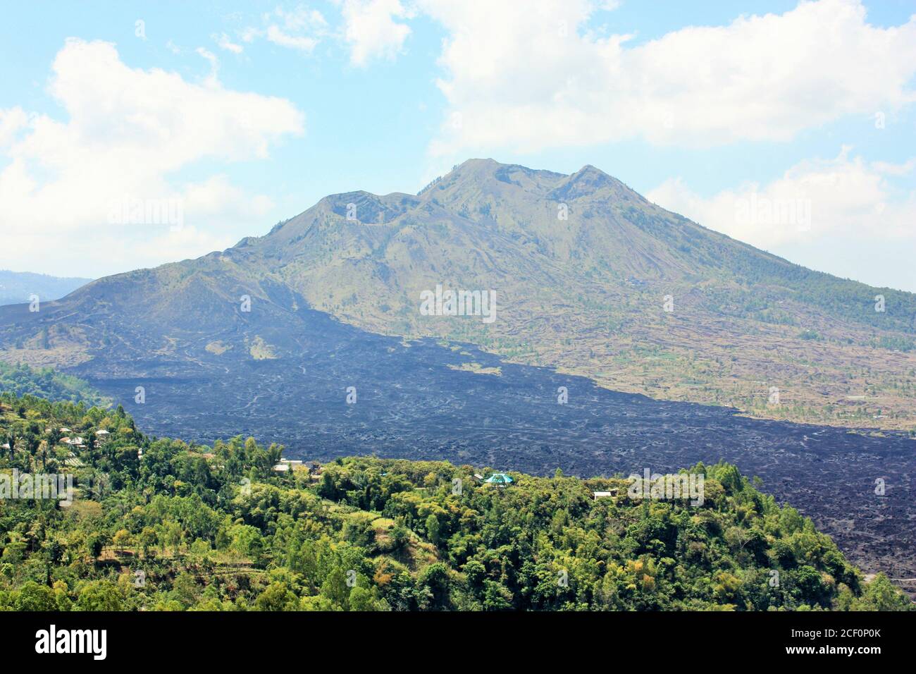 Mount Batur Volcano, with black volcanic rock and green plants in foreground in Bali, Indonesia Stock Photo