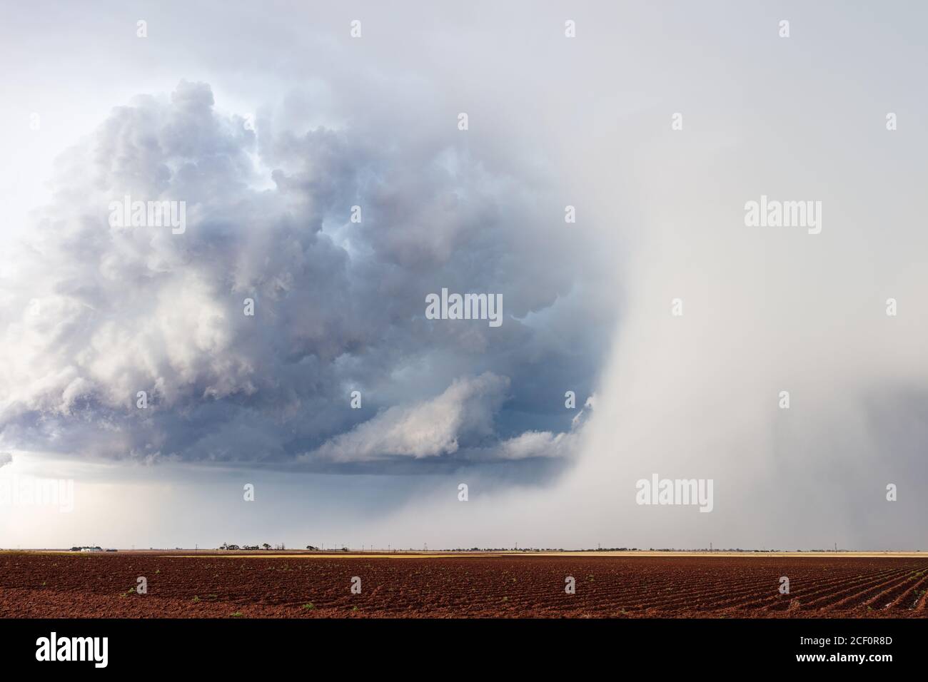 Hail storm with dramatic clouds over a farm field in Littlefield, Texas, USA Stock Photo