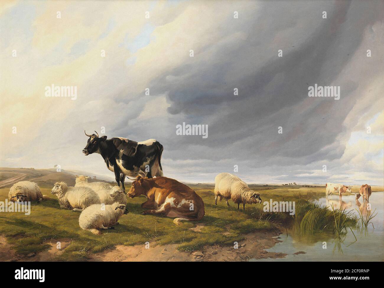 Cooper Thomas Sidney - Cattle and Sheep in a Watermeadow - British School - 19th  Century Stock Photo