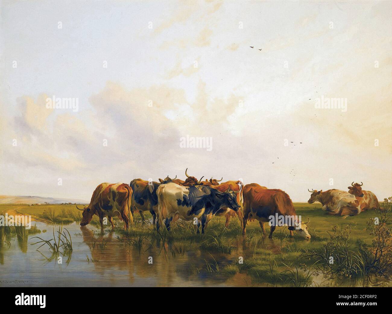 Cooper Thomas Sidney Cattle in Canterbury Meadows British School