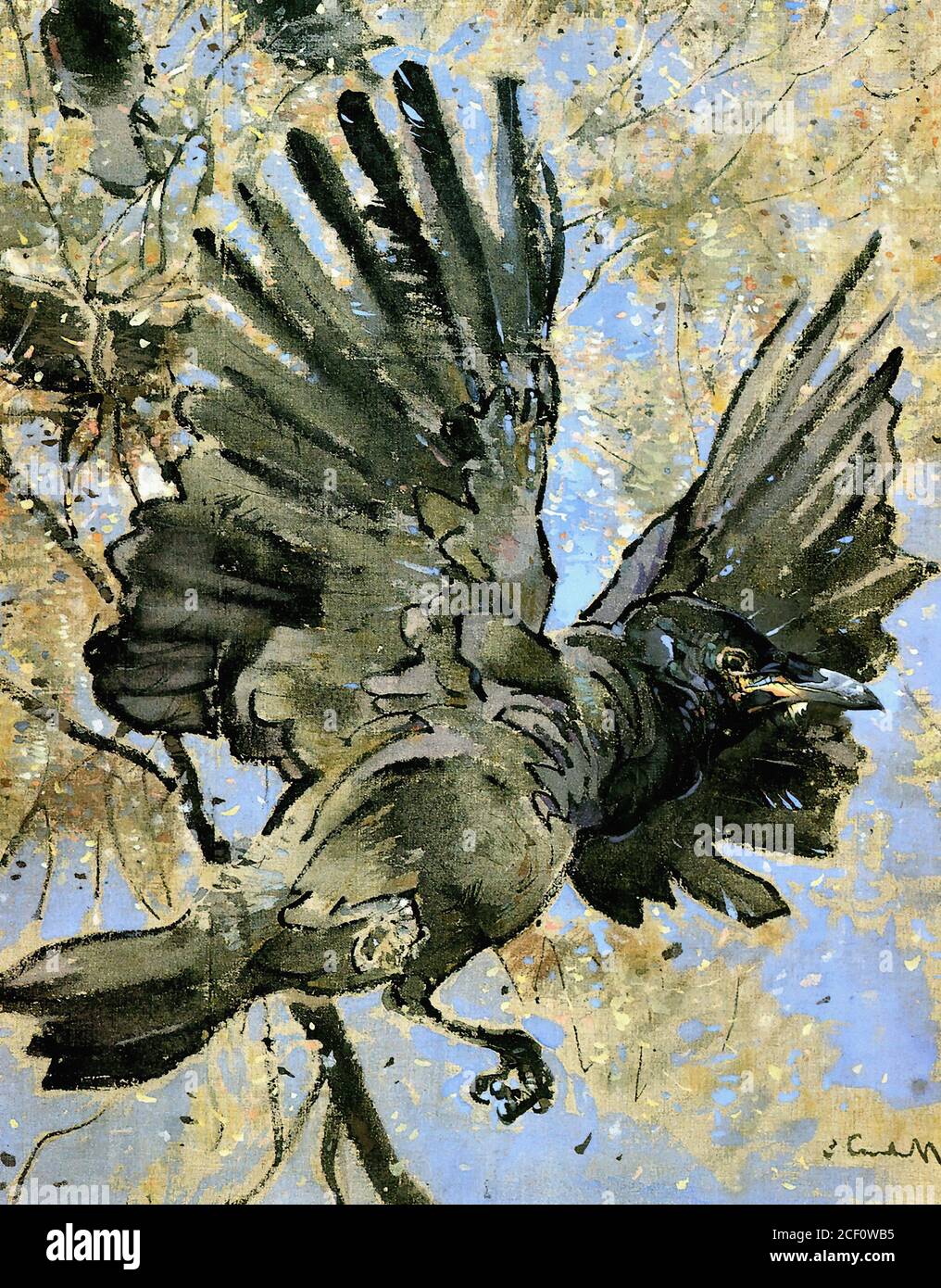 Rooks nest hi-res stock photography and images - Alamy