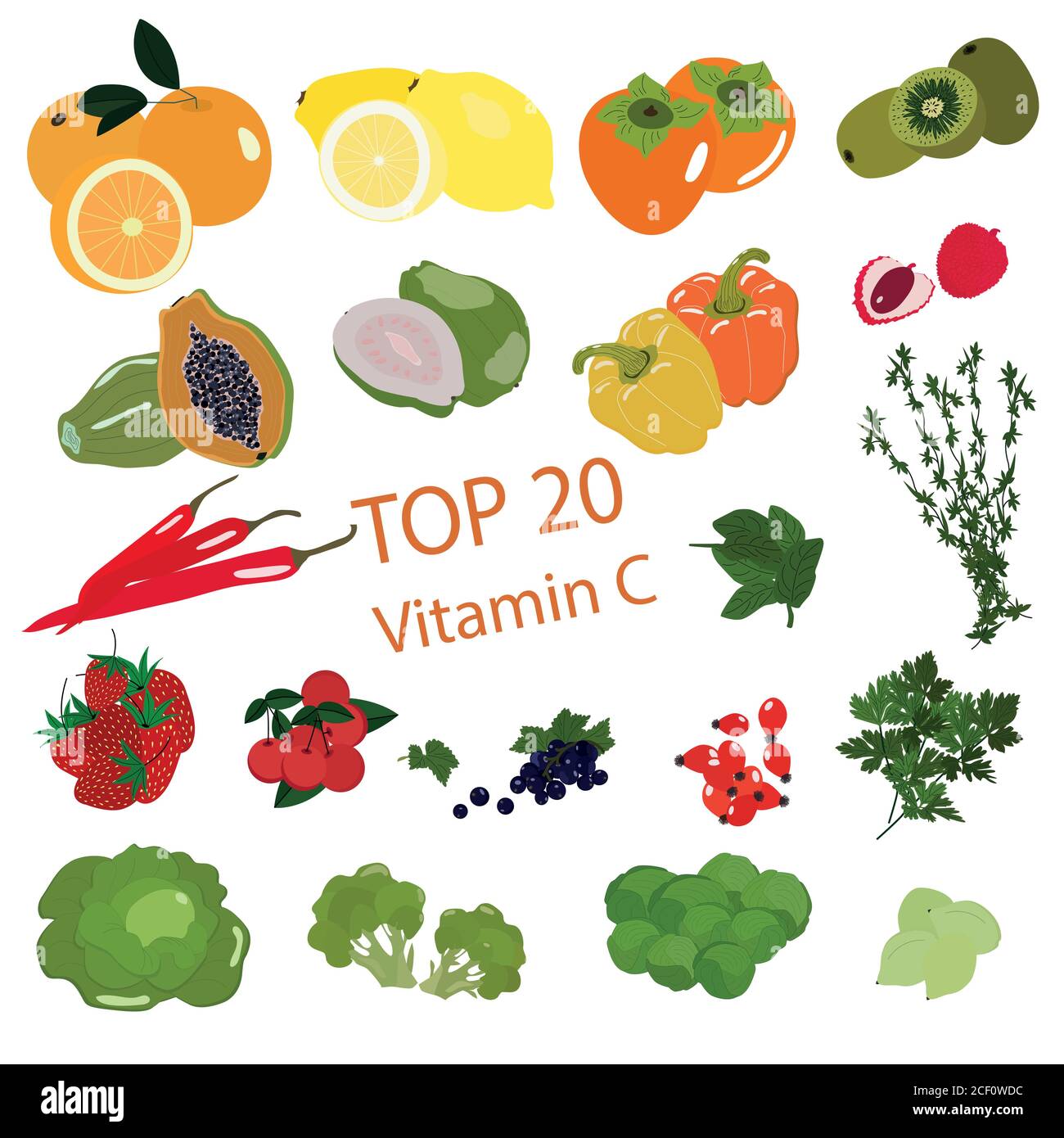 Top 20 Vitamins C. Vegetables, fruits, greens, vector object. Set Stock