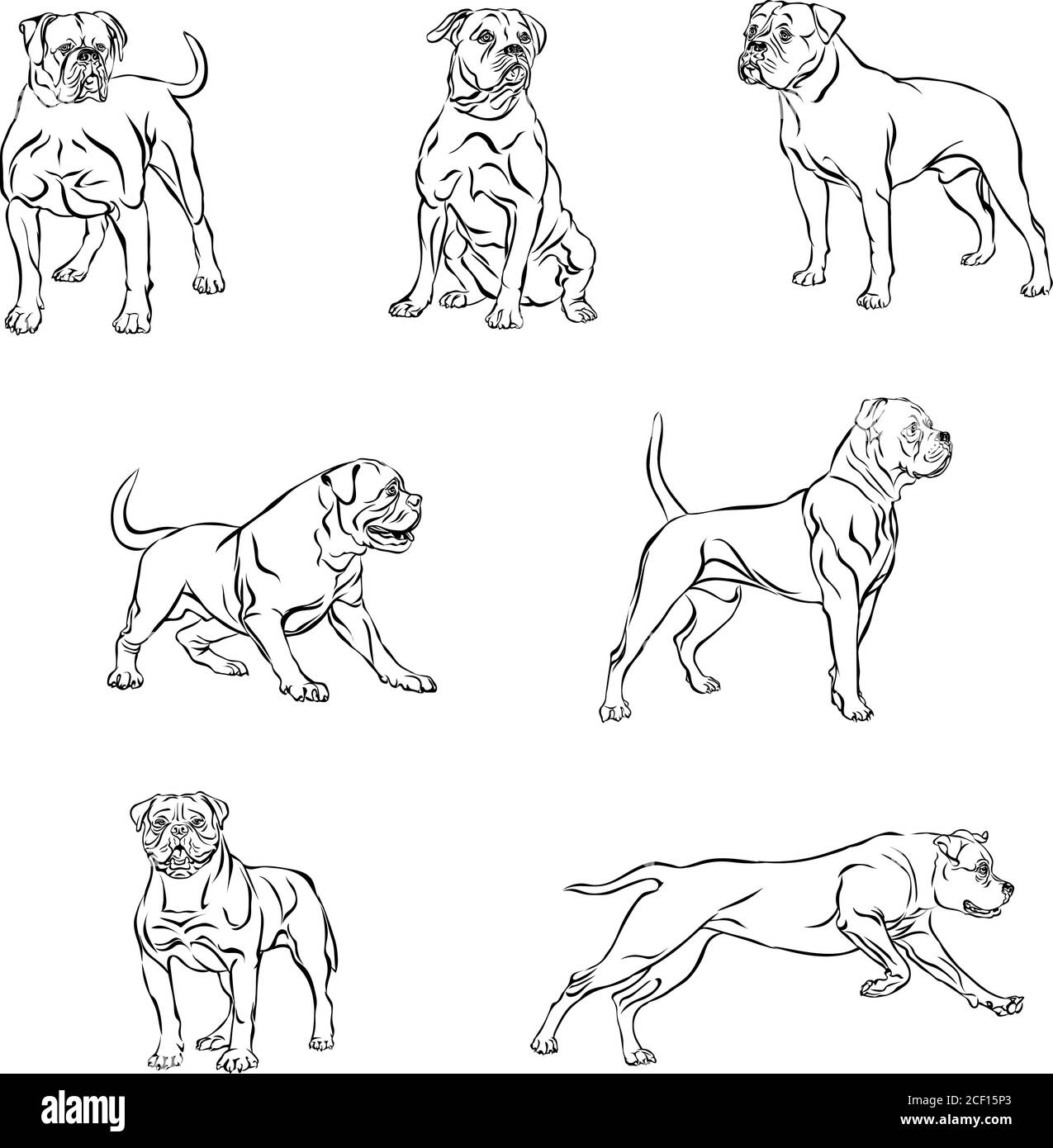 Dog, bulldog in motion, different poses, black, color, various poses, movements and angles of figures, black, silhouette, set, vector, illustration Stock Vector