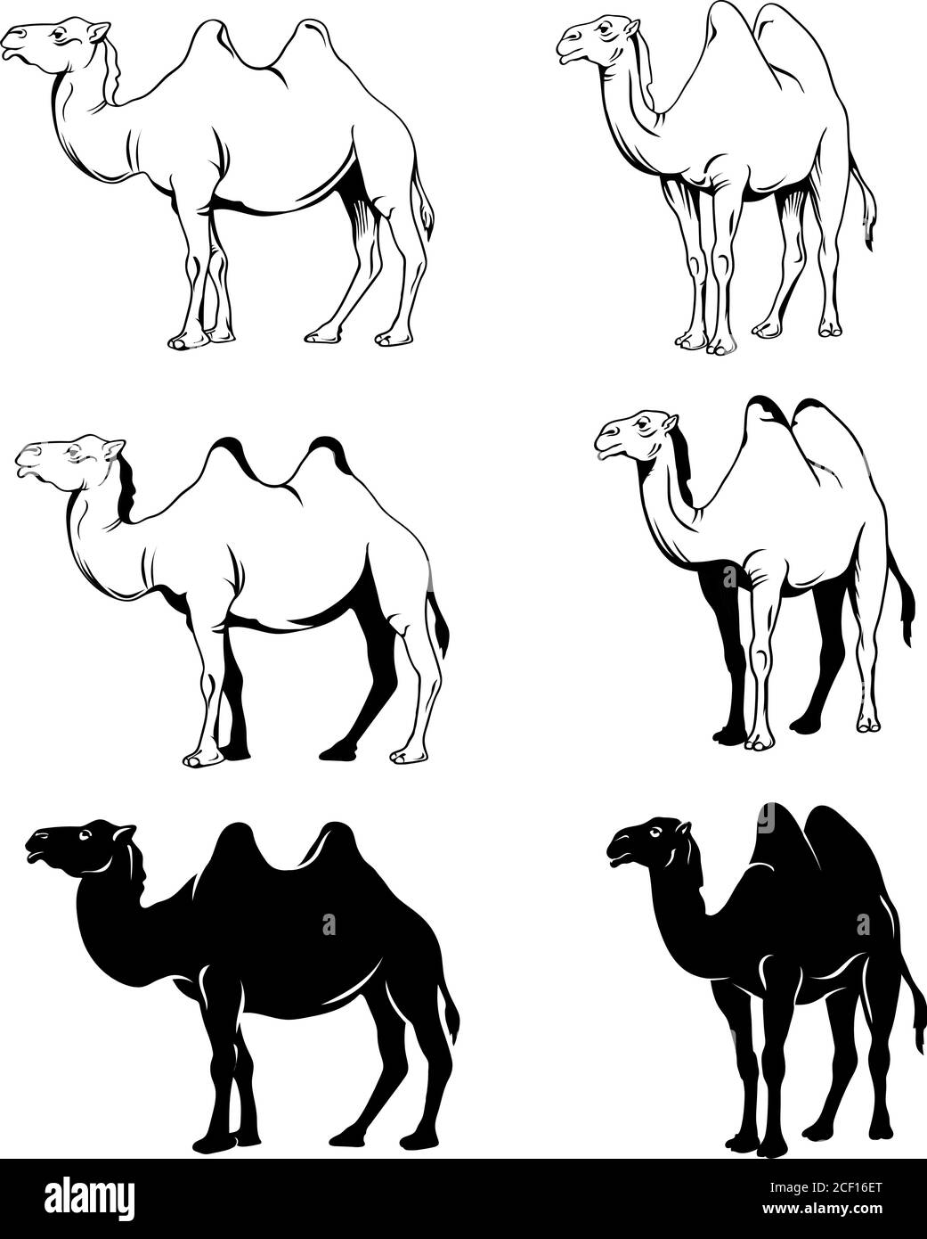 Camel, emblem, tourism, excursion, recreation, trip, sand, white, signboard, illustration, inscription, name, advertisement, style, animal, mammal Stock Vector