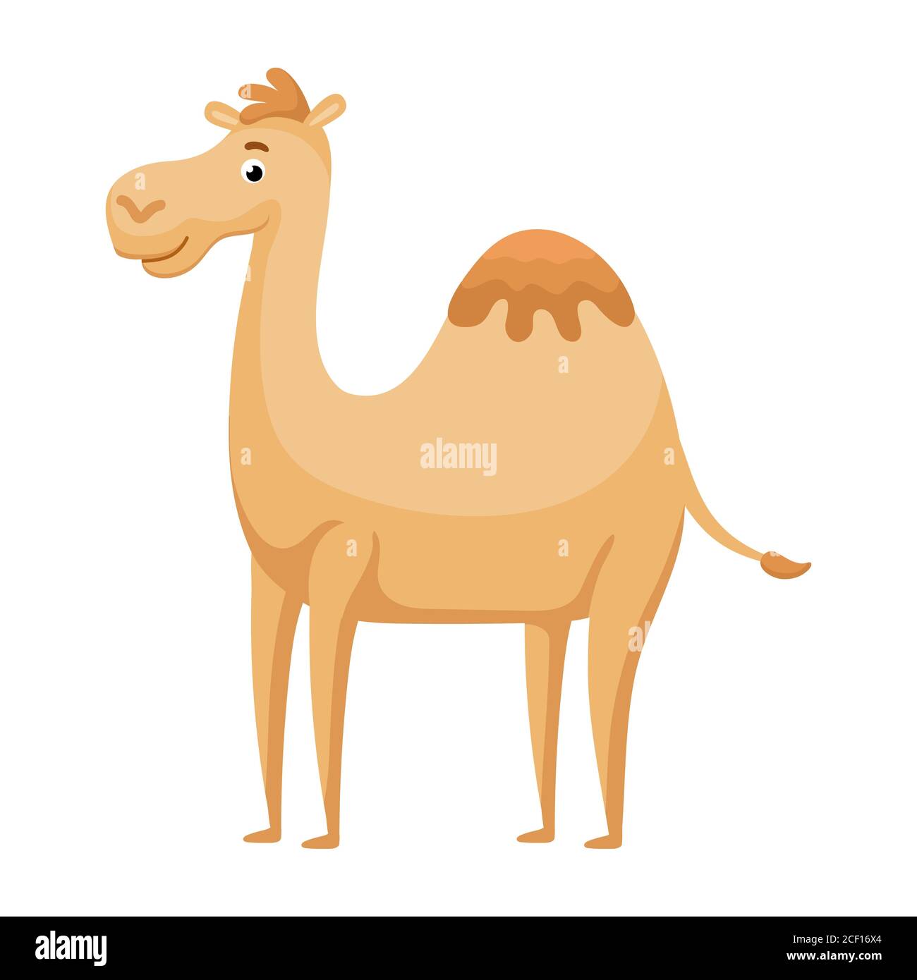 Camel Character High Resolution Stock Photography And Images Alamy
