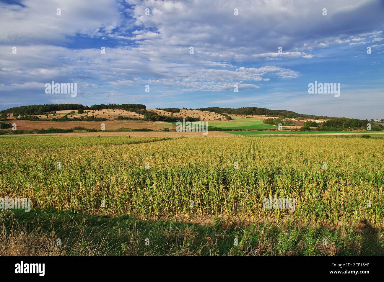 The panorama of fields in Bavaria, Germany Stock Photo - Alamy