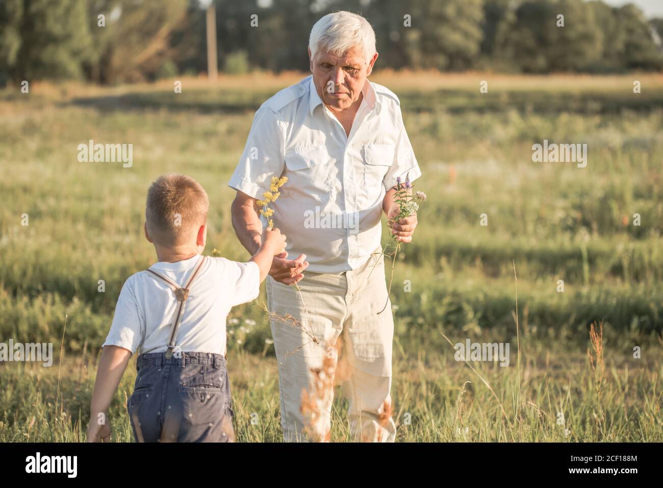 Дед с внуками. Дед и внук. Дедушка и внучка. Старый ребенок. Дедушка и внучка.