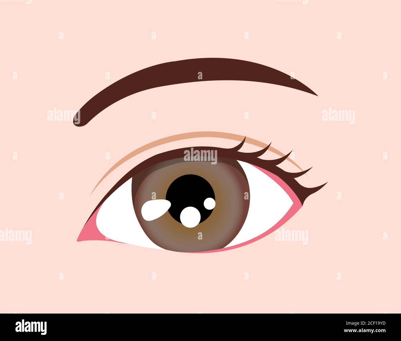 Human eyeball / eye color illustration (amber) Stock Vector