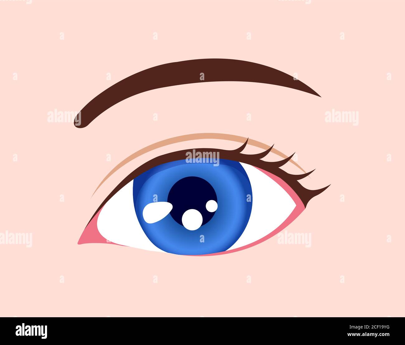 Human eyeball / eye color illustration (blue) Stock Vector