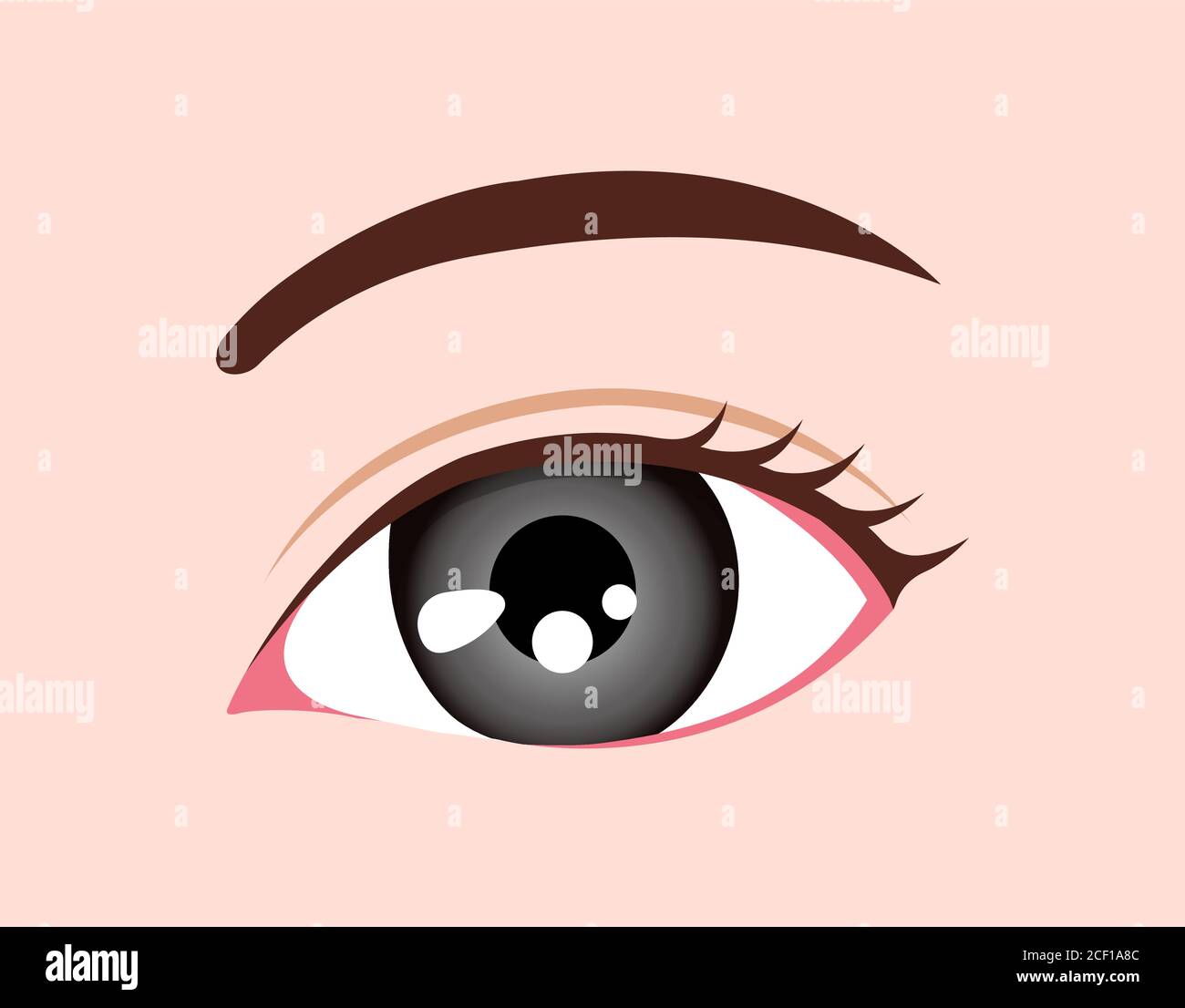 Human eyeball / eye color illustration (Gray) Stock Vector