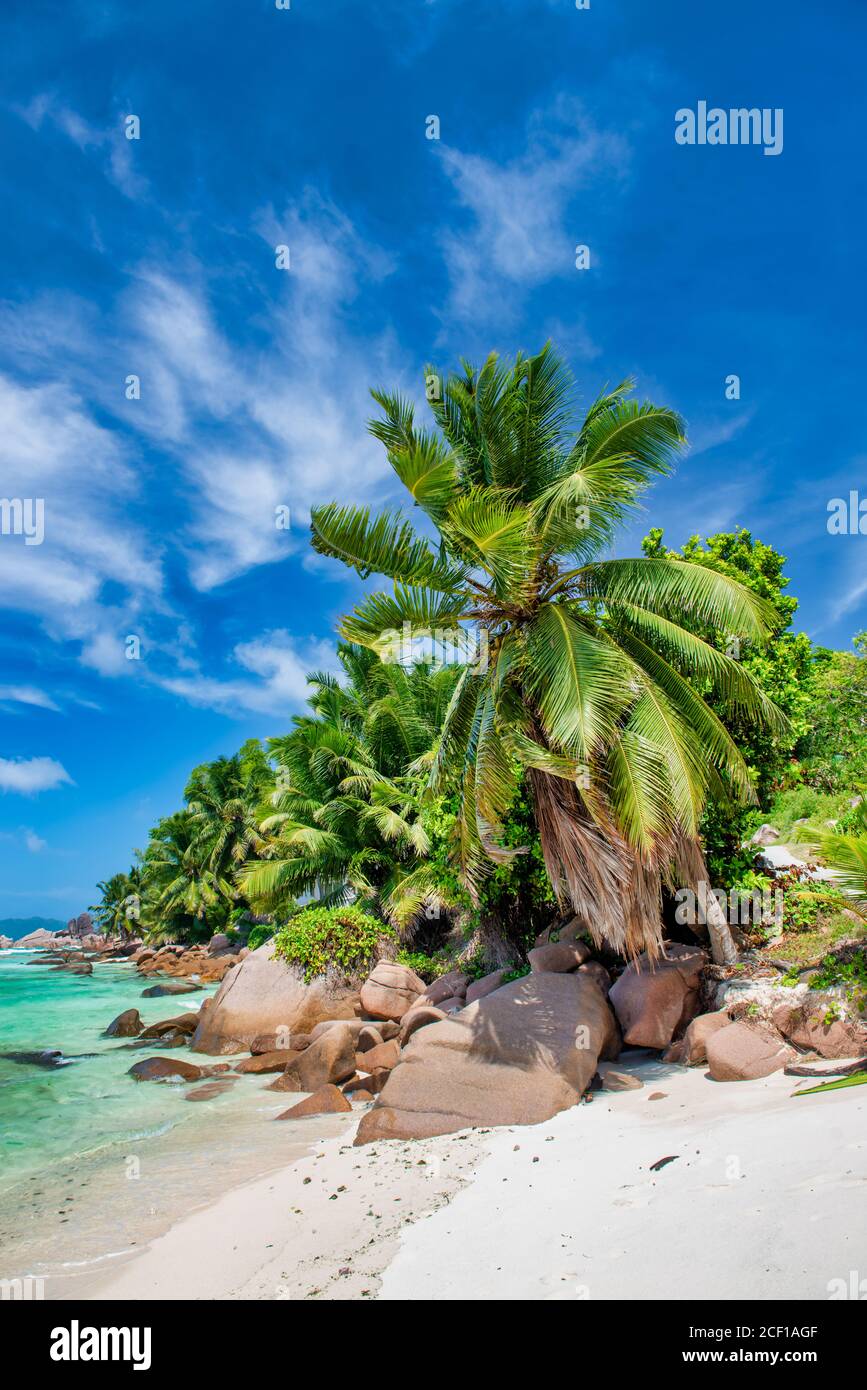 Beautiful Seychelle Island. Praslin tropical colors. Stock Photo