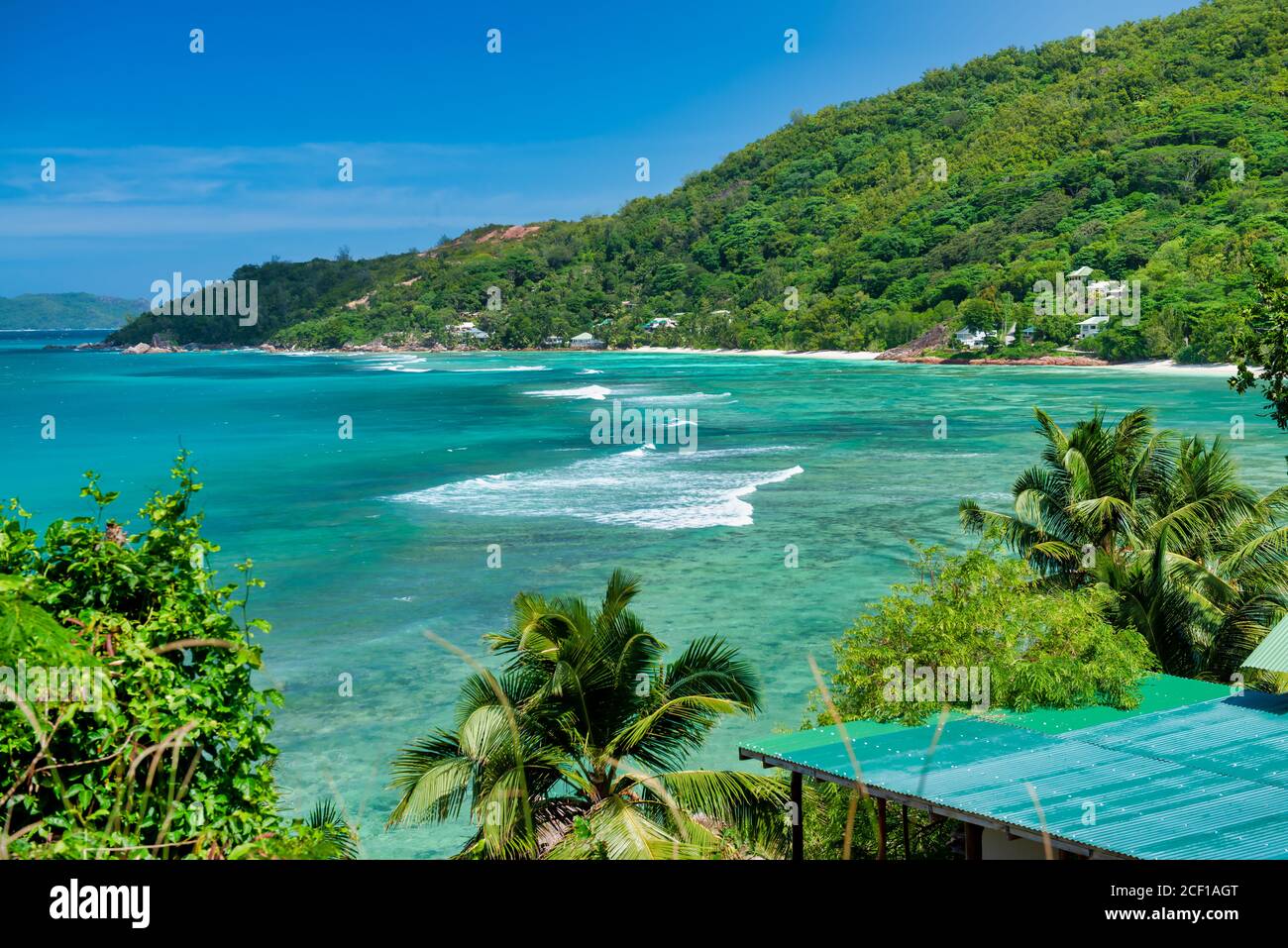 Palm trees along the shoreline, tropical island scenario. Stock Photo