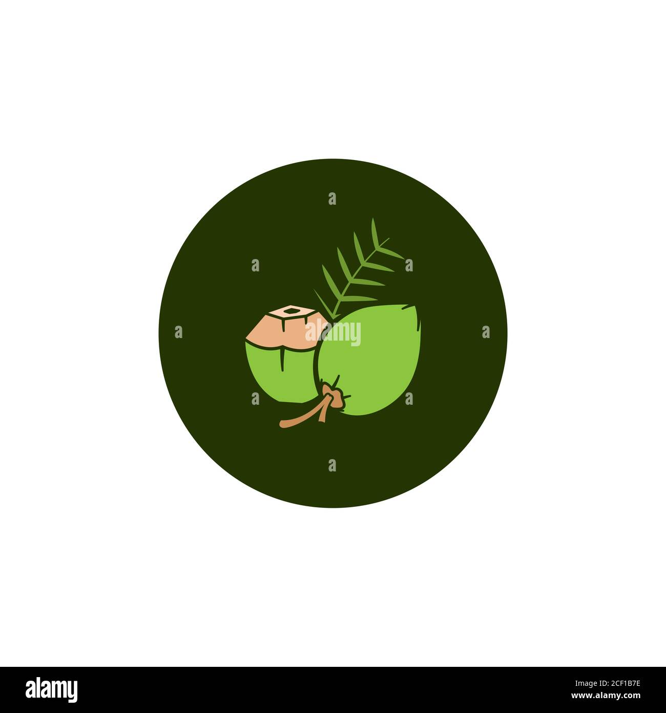 young cococnut vector design template illustration Stock Vector
