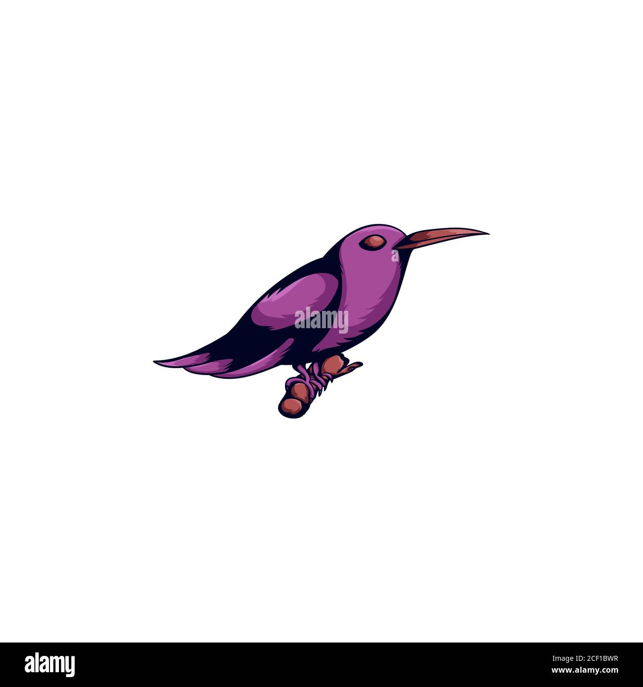 Bird vector design template illustration Stock Vector