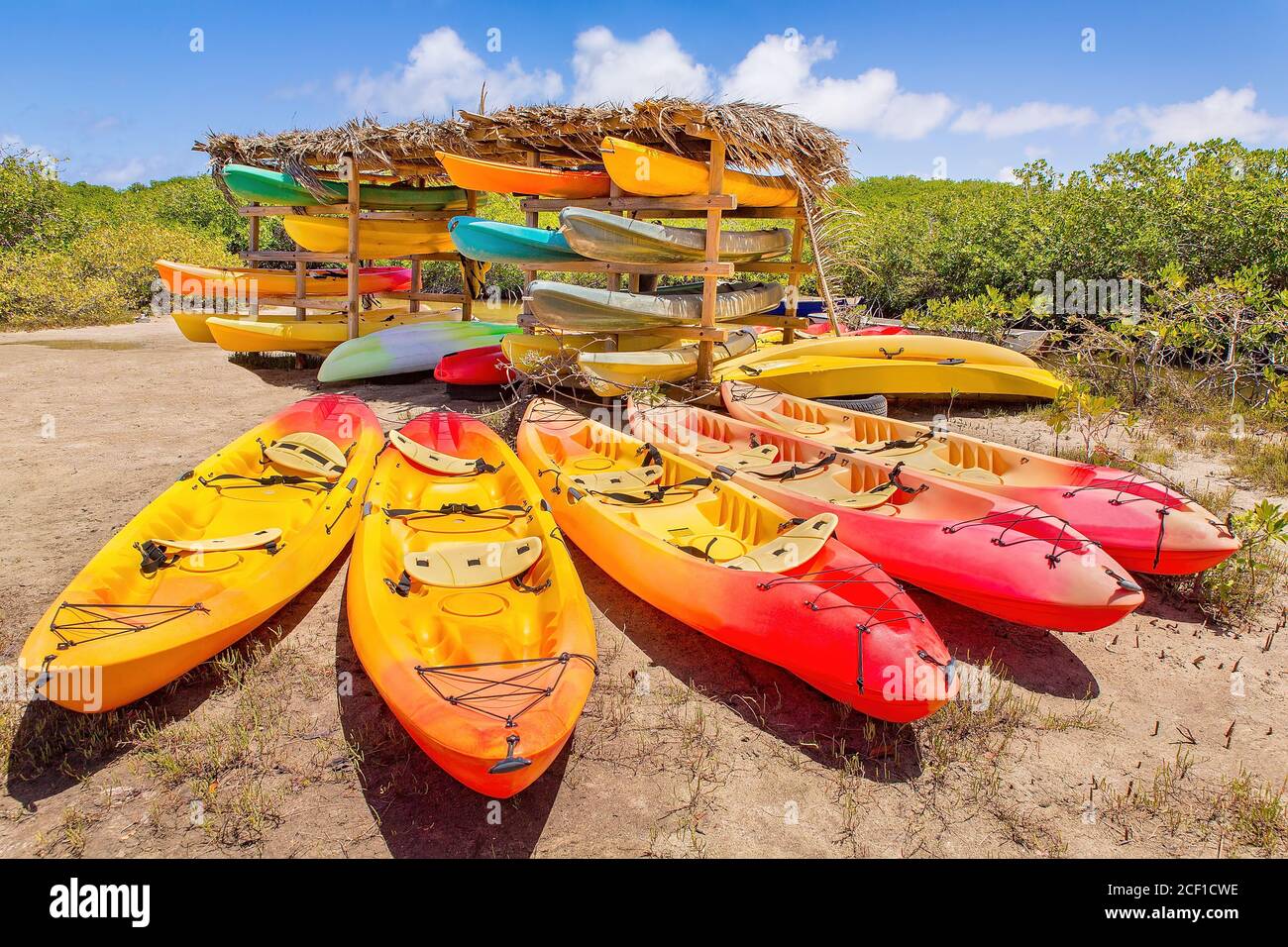Many colorful kayaks parked in mangrove forest on the island Bonaire Stock Photo