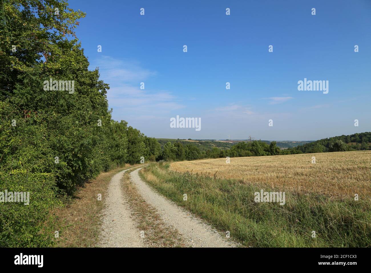 Summer landscape with field road and blue sky Stock Photo - Alamy