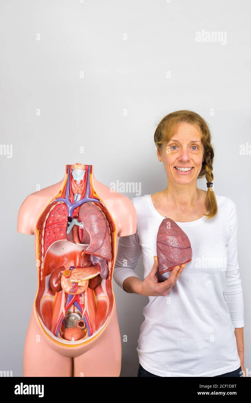 Woman shows lung and human torso with internal organs Stock Photo