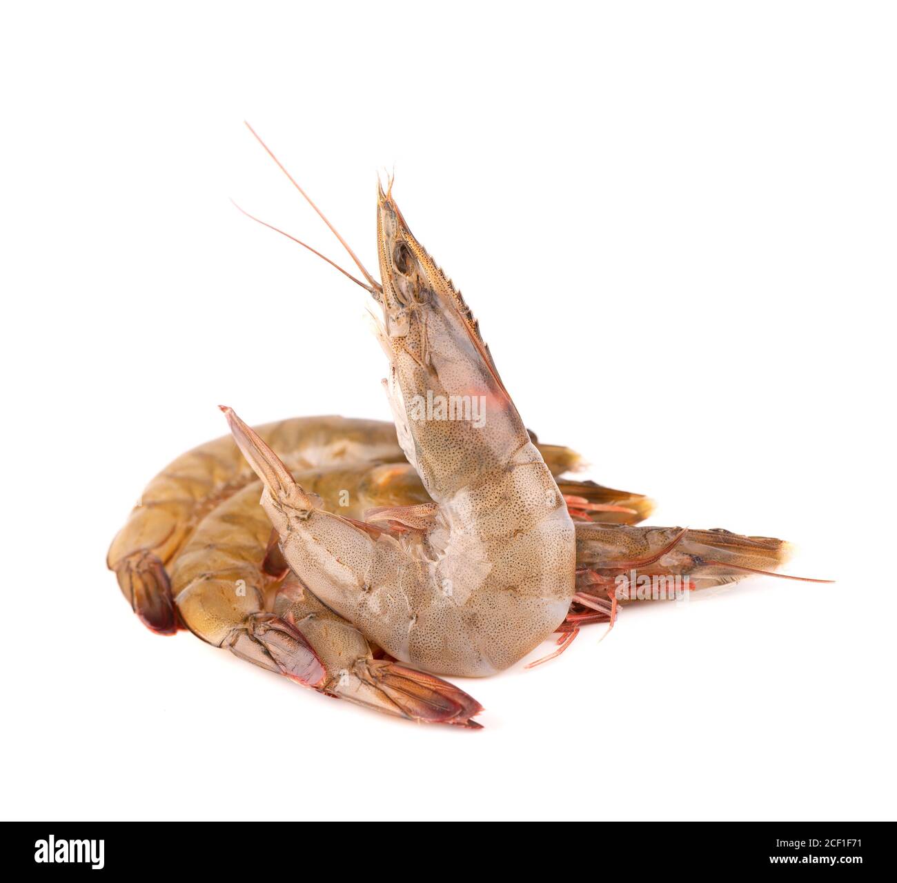 Raw shrimp isolated on white background. Raw prawns. Stock Photo