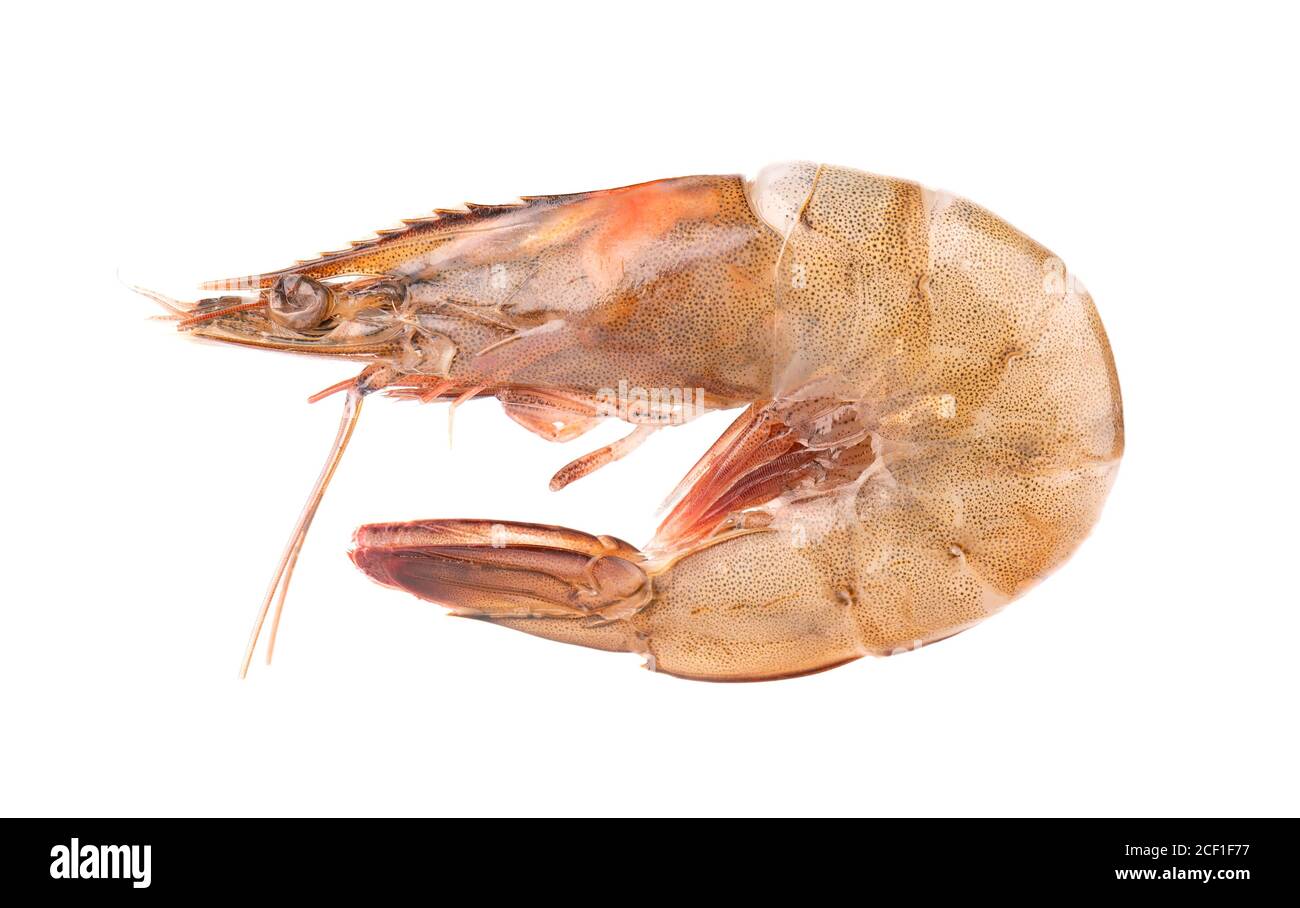Raw shrimp isolated on white background. Raw prawns. Stock Photo