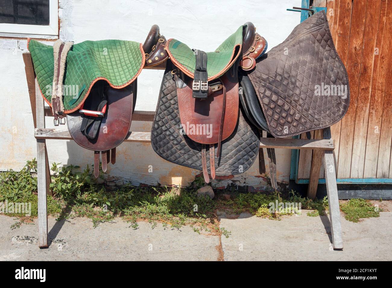 Harness for horses in horse club. Worn ranch saddles and girth. Ridding school on a horse farm Stock Photo