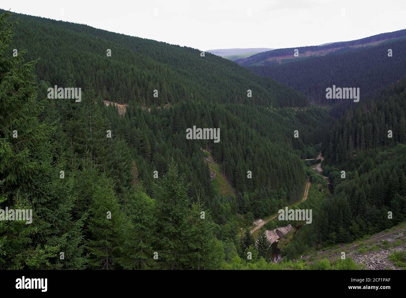 Romania, the Carpathians, a valley among green hills. Rumänien, die Karpaten, ein Tal zwischen grünen Hügeln. Stock Photo