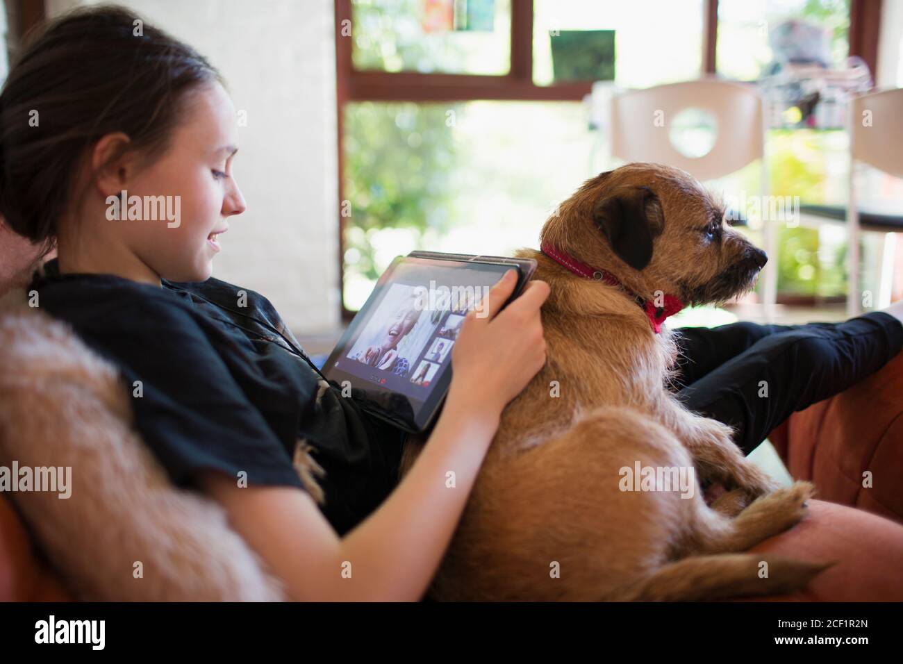 Girl with dog video chatting with friends on digital tablet screen Stock Photo