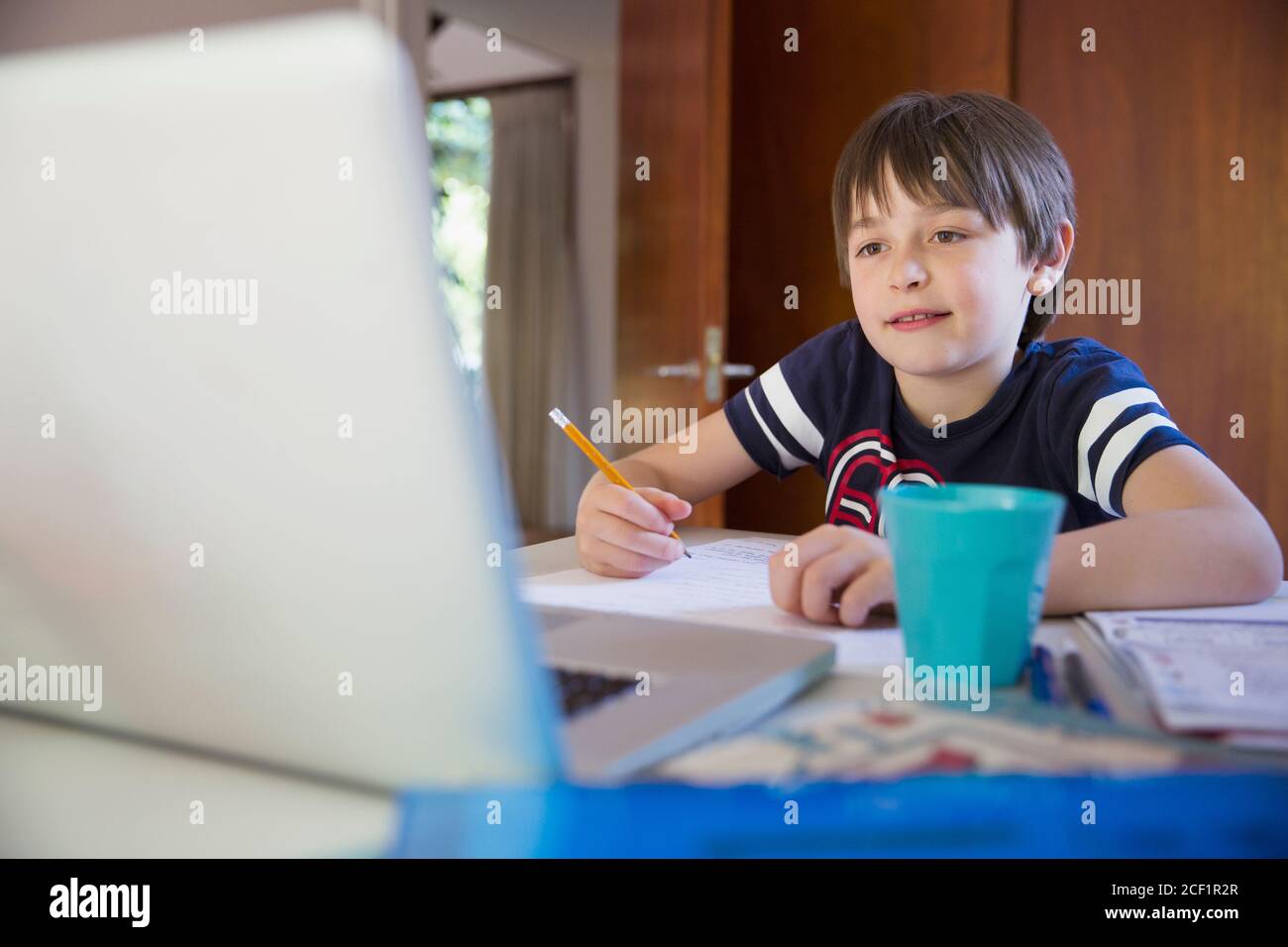 Boy e-learning at laptop Stock Photo