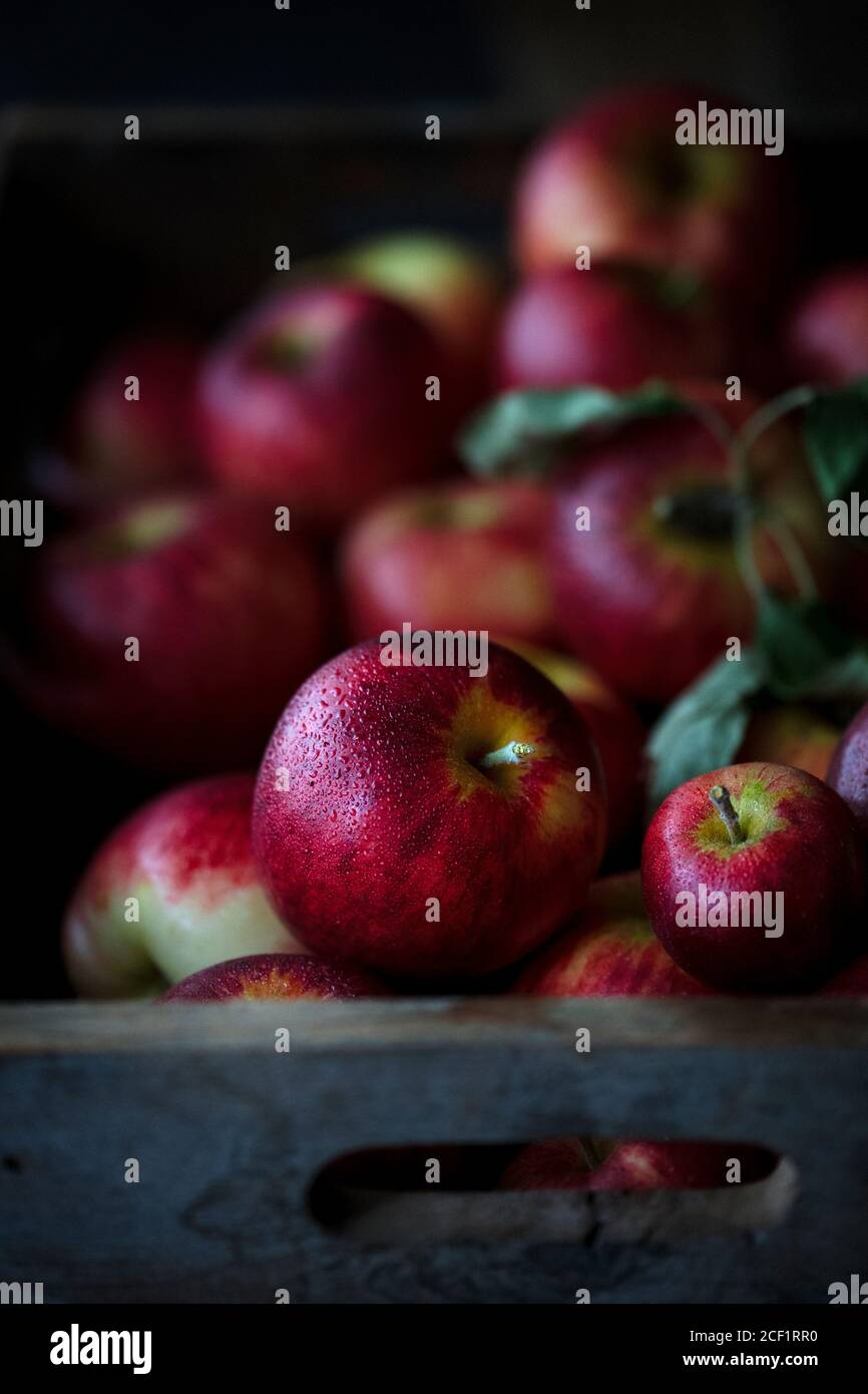 Fresh juicy red apples Stock Photo