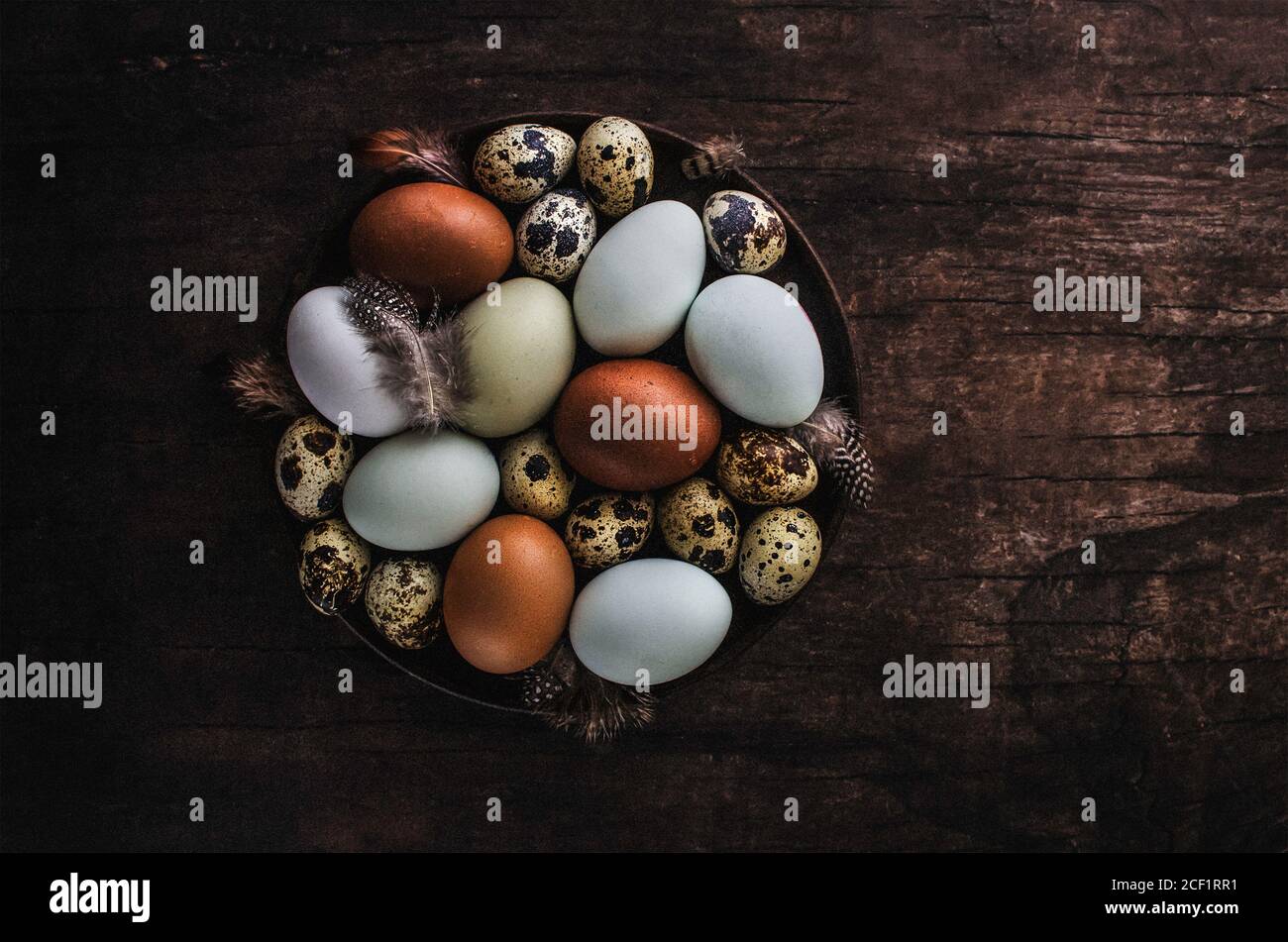 Speckled quail eggs and feathers in bowl Stock Photo