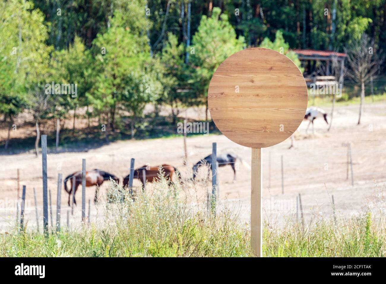 Empty wooden signboard on the horse farm. Horse trail sign post or beware sign. Horses eating hay on ranch. Ridding school or horse club banner Stock Photo